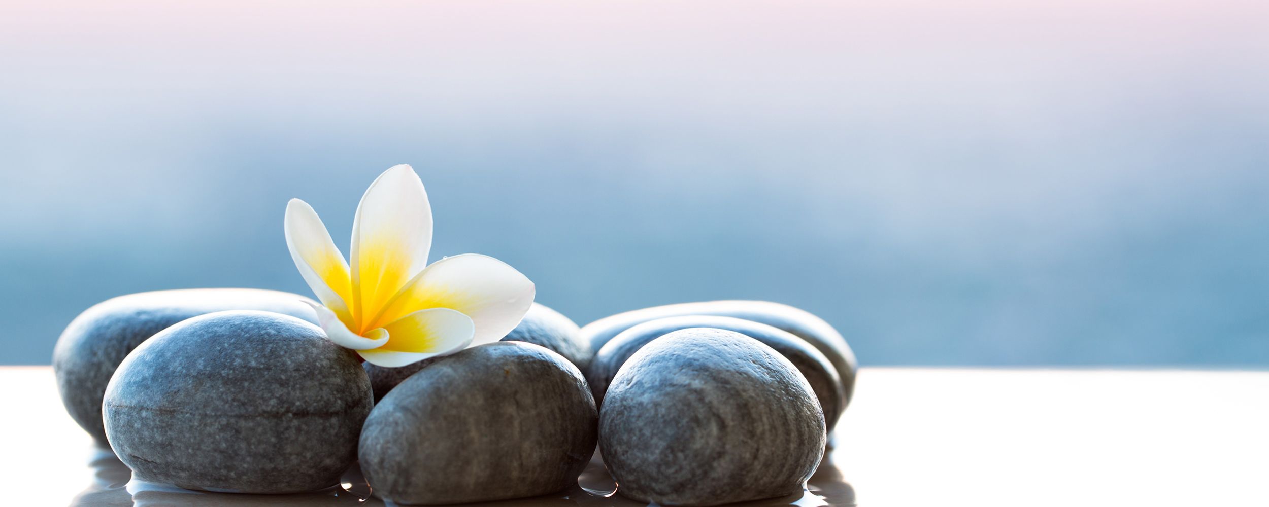 The Greenwich Homeless Project